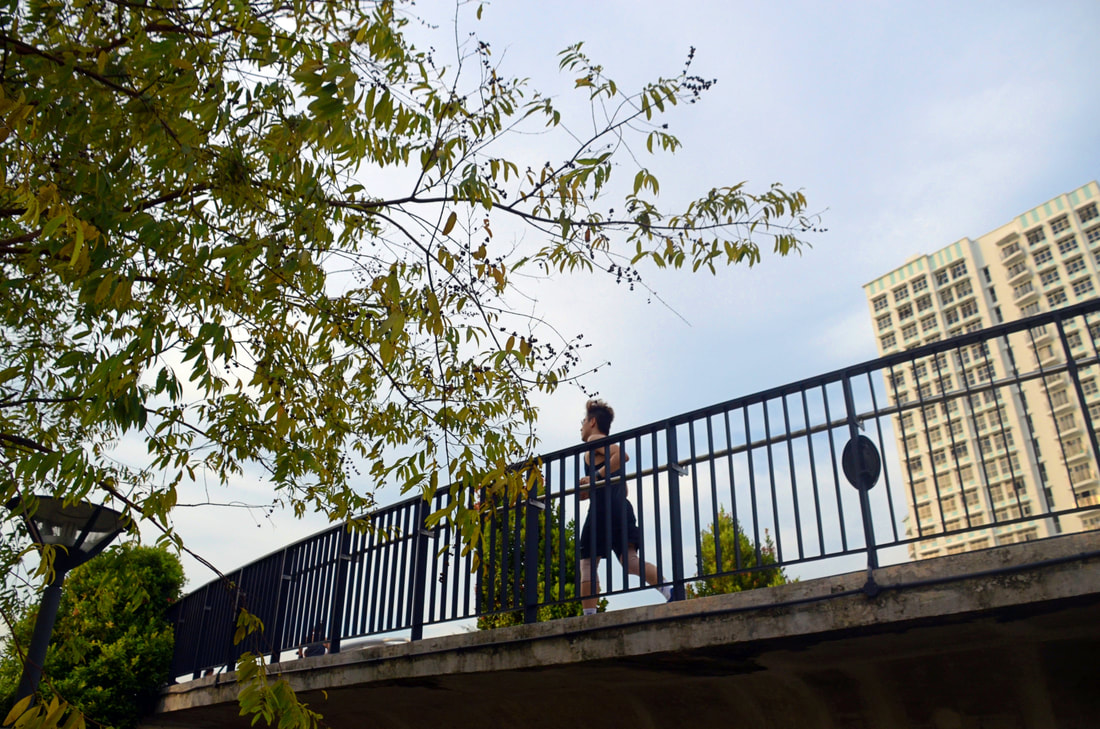 carousel chooser